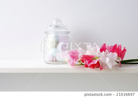 白色背景和香豌豆花和棉花球 21016697