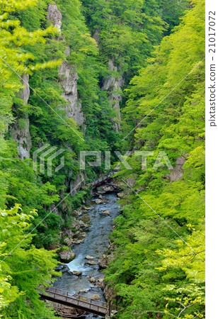 Naruko town of fresh green 21017072