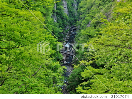 Naruko town of fresh green 21017074