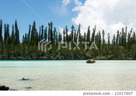 Pischenne Naturrel (New Caledonia, Ille des bains) 21017807