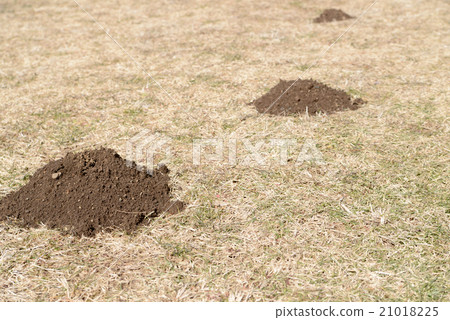 Molding mound Molding mound 21018225