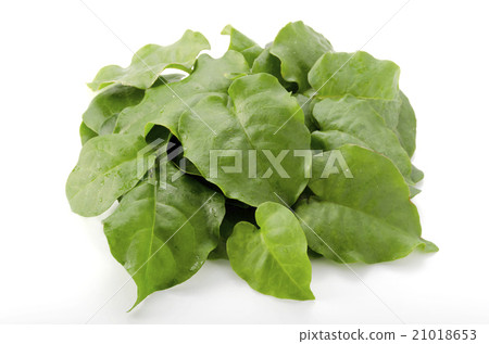 Yunnan medicine 21018653