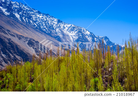 beautiful Landscape of Hunza Valley 21018967