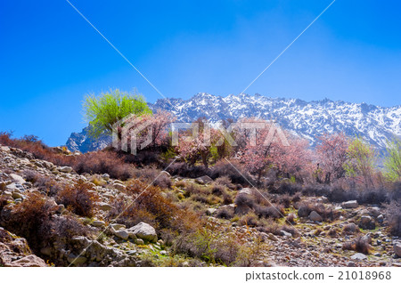 beautiful Landscape of Hunza Valley 21018968