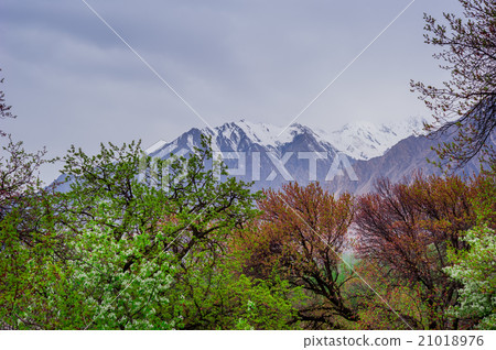 beautiful Landscape of Hunza Valley beautiful Landscape of Hunza Valley 21018976