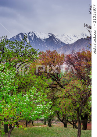 beautiful Landscape of Hunza Valley in Autumn beautiful Landscape of Hunza Valley in Autumn 21018977