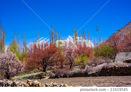 beautiful Landscape of Hunza Valley in Autumn 21019585