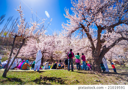 beautiful Landscape of Hunza Valley beautiful Landscape of Hunza Valley 21019591