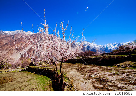 beautiful Landscape of Hunza Valley 21019592