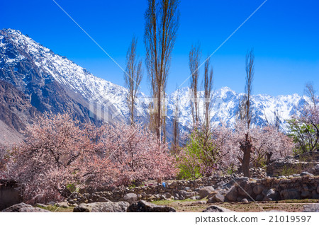 beautiful Landscape of Hunza Valley  21019597