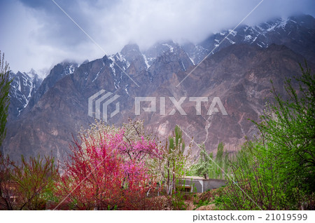 beautiful Landscape of Hunza Valley  21019599