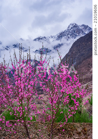 beautiful Landscape of Hunza Valley 21019606