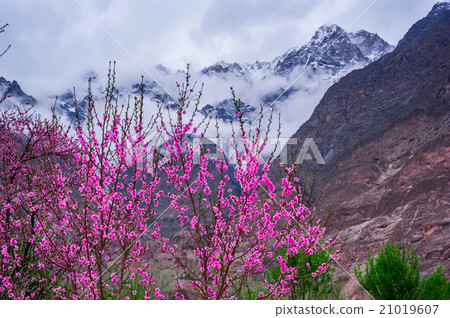 beautiful Landscape of Hunza Valley 21019607