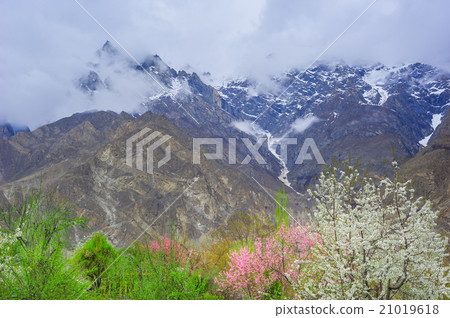 beautiful Landscape of Hunza Valley 21019618