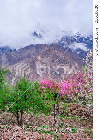 beautiful Landscape of Hunza Valley 21019620