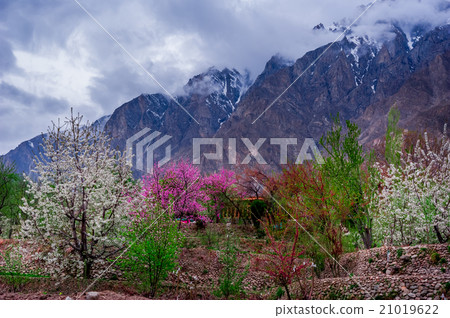 beautiful Landscape of Hunza Valley 21019622