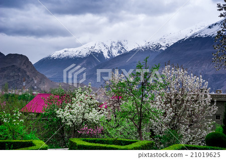 beautiful Landscape of Hunza Valley 21019625