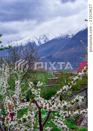 beautiful Landscape of Hunza Valley 21019627