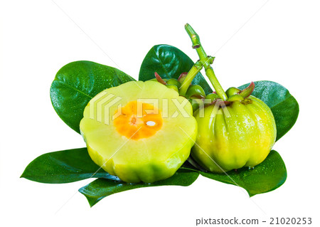 Garcinia cambogia fruits, isolated on white 21020253