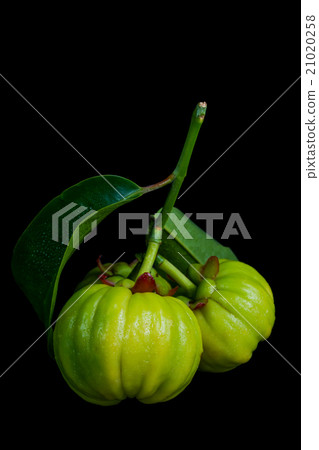 Close up garcinia cambogia over black background 21020258