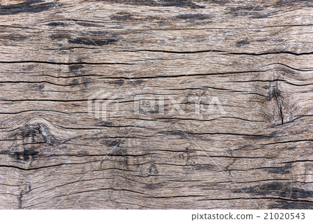 vintage old wood texture vintage old wood texture 21020543