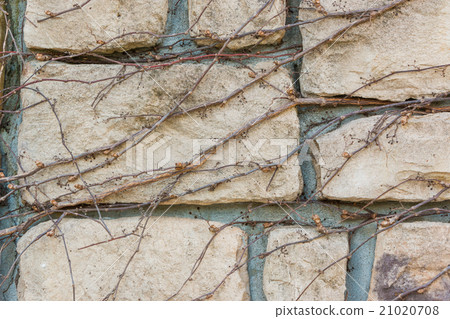 Old stone brick wall texture background. 21020708