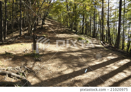 秋天石脊縱向道路布納坡 秋天石脊縱向道路布納坡 21020975