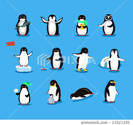 Set of Animal Pinguin Design Flat 21021295