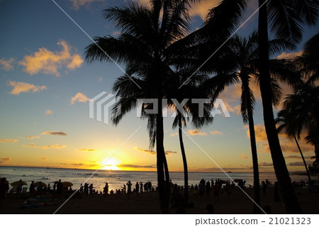 Hawaii Waikiki Sunset 21021323