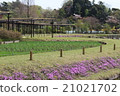 野田清水公園 21021702