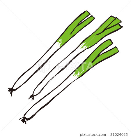 A long onion A long onion 21024025