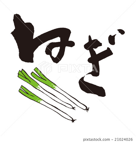 A long onion A long onion 21024026