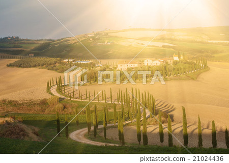 Villa in Tuscany 21024436