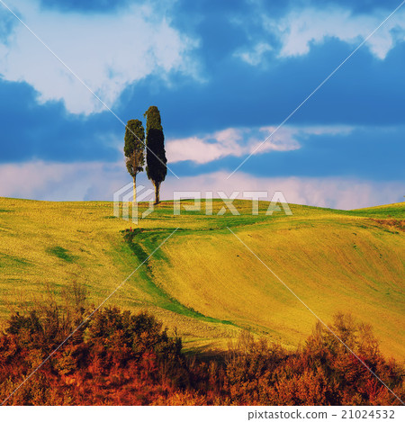 Landscape with trees Landscape with trees 21024532