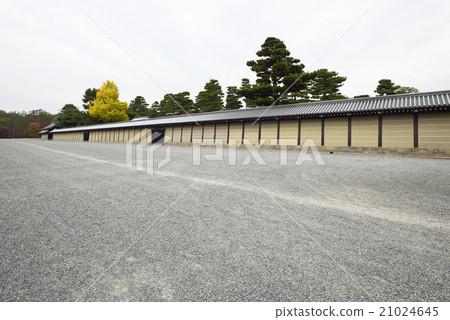 京都御苑 21024645