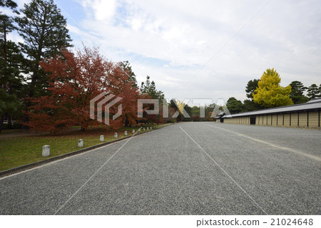 京都御苑 21024648