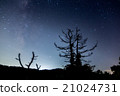 死樹和銀河系 21024731