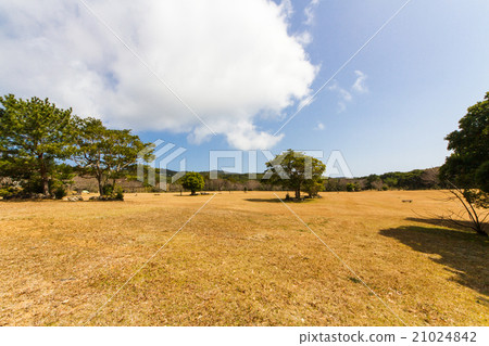 高知縣土佐清水市Torajima公園 高知縣土佐清水市Torajima公園 21024842