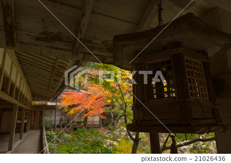 暫停的燈籠_秋葉 暫停的燈籠_秋葉 21026436