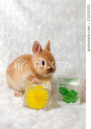 Rabbit and Huaxia Crystal 21028301