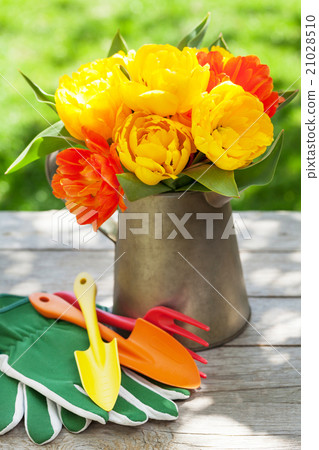 Colorful tulips and garden tools Colorful tulips and garden tools 21028510