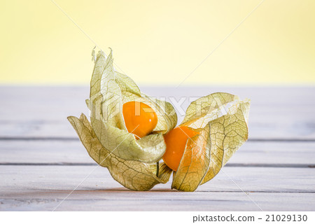 Cape gooseberries on a wooden desk 21029130