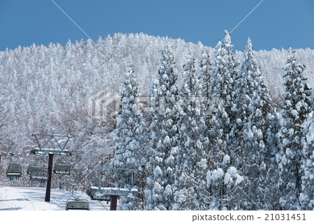 Zao's rime field 21031451