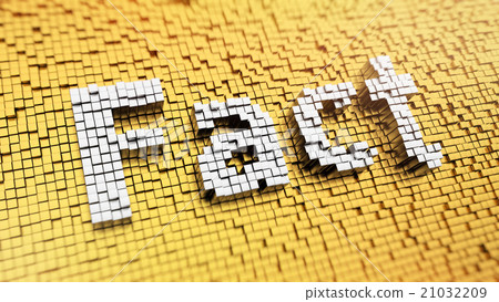 Pixelated Fact Pixelated Fact 21032209