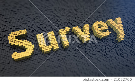 Survey cubics Survey cubics 21032760