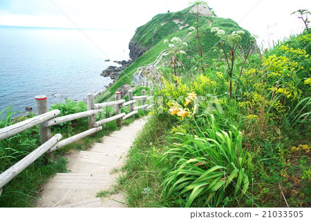 積丹半島 積丹半島 21033505