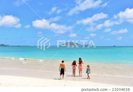 夏威夷的假期 夏威夷的假期 21034638