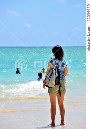 夏威夷的假期 夏威夷的假期 21034639