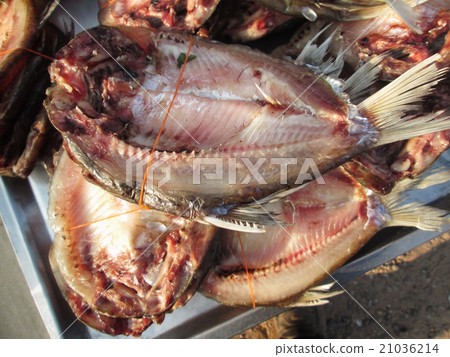 Dried fish Dried fish 21036214