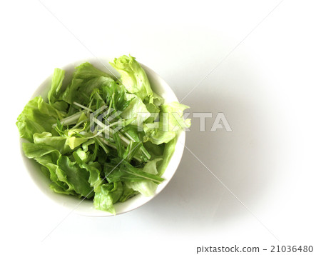 Green salad Green salad 21036480